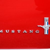 Mustang :: Viktor Makarov
