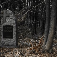 Заброшенные могилки в лесу :: Anatoli Schneidmiller