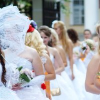 Парад невест :: Миша Павлов