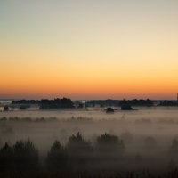 Рассветный туман :: Анастасия Скворцова