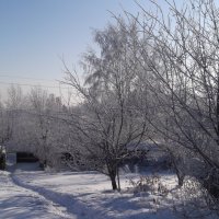 Зима :: Анна Захарова