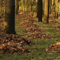 Летний домик  Петра :: Наталия Зыбайло