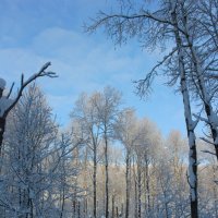 Сибирская сказка :: Любовь Шихова