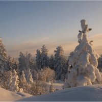 Лес чудес :: Владимир Тюменцев