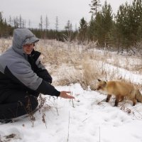 Наступают холода. :: Алексей Губанов