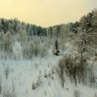 зима :: Сергей Бурнышев