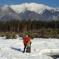 Подрастаем... :: Алексей Губанов