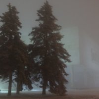туман :: Дмитрий Потапов