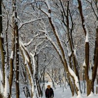 Зимнее утро. :: Николай Сидаш