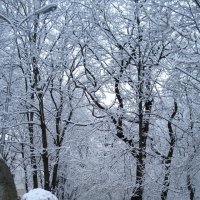 Снег в Железноводске :: Сергей Назаркин