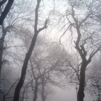 Туман в Железноводске :: Сергей Назаркин