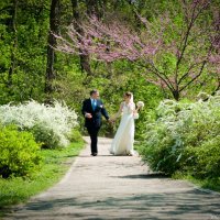Свадьба в весеннем саду :: Виктория Савостьянова