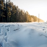 В даль :: Андрей Грибов