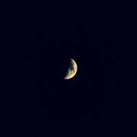 Луна :: Анастасия Кобзарь