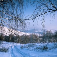 Дорога в зиму... :: Алексей Качурин