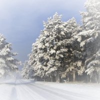 Зима :: Владимир Клюнк