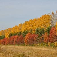 Осень в цвеТу :: Роман Червов