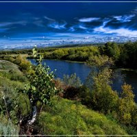 Река Иня :: Владимир Клюнк