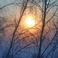 Зима :: Наташа Белоусова