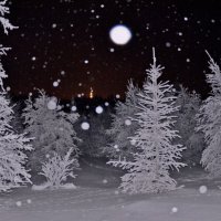 снег ..ночью. :: Александр Тихонов
