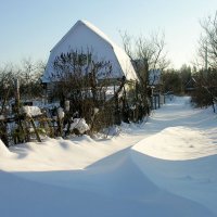 из альбома&quot; Зима в Антоновке&quot; :: Тамара Цилиакус