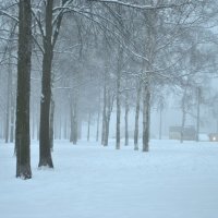 в тумане и в снегу :: Екатерина Яковлева