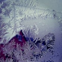 вид из морозного окна :: ольга хадыкина