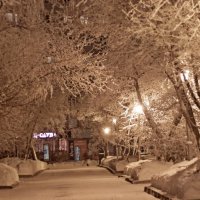 Зима в нвосибирске :: Zinaida Kovalchuk