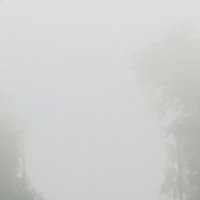 туман :: Константин Антошкин
