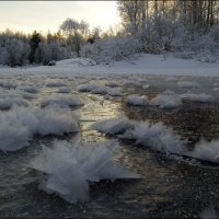 Подарки на Рождество :: Андрей Воробьев