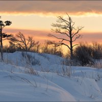 Краски января :: Андрей Воробьев