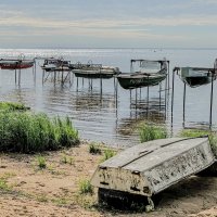 На берегу Ладоги :: Владимир Горубин