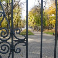 А за воротами осень... :: Михаил Болдырев 