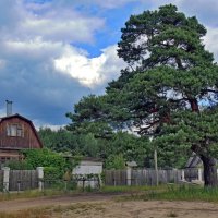 На краю деревни :: Владимир Дементьев