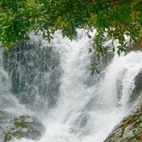 Водопад. :: Чария Зоя 