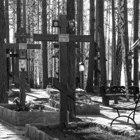 Кладбище при Монастыре :: Илья Воловиков
