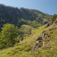 В ущелье Че-Чкыш :: Марина Бойко