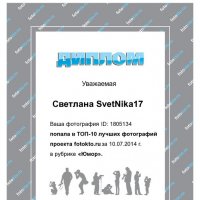 Диплом :: Светлана SvetNika17