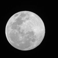Луна... :: Вика Гонтарева