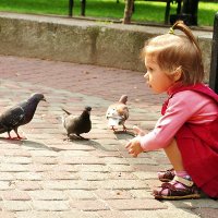 - Дай мне хлебушка... я дам его птичкам... :: Наталья Костенко