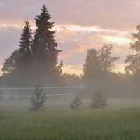 В тумане :: Людмила Быстрова