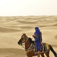 Сахара :: Arximed 