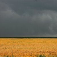 гроза в поле :: Marusiya БОНДАРЕНКО