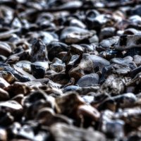 stony beach :: Ivars RuSto