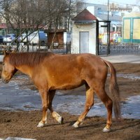 Разминка :: Валентина Жукова