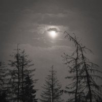 Мрачная луна :: Елена Лебедева