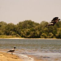 палубная авиация :: валентин яблонский