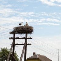 Общий план :: Анатолий Тимофеев