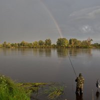 Гроза надвигается :: Ирина Приходько