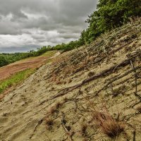 Тропинка в дюнах :: Владимир Самсонов